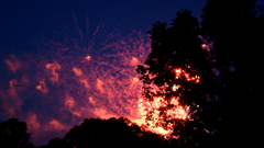 Видеосъемка фотоаппаратом Nikon D500