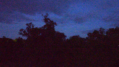 Видеосъемка фотоаппаратом Nikon D500