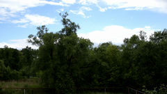 Видеосъемка фотоаппаратом Nikon D500