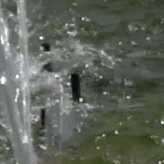 Видеосъемка фотоаппаратом Nikon D500