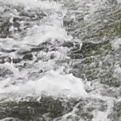 Видеосъемка фотоаппаратом Nikon D500