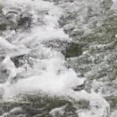 Видеосъемка фотоаппаратом Nikon D500