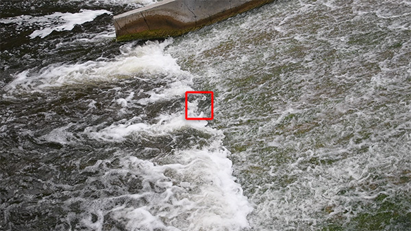 Видеосъемка фотоаппаратом Nikon D500