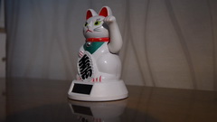 Видеосъемка фотоаппаратом Nikon D500