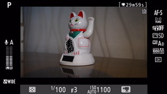 Видеосъемка фотоаппаратом Nikon D500