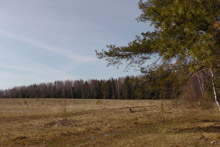 пример фотографии видеокамеры Panasonic HDC-TM900