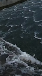 Панорамная камера Samsung Gear 360