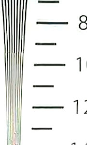 Экшн-камеры SJCam SJ4000 WiFi и SJ5000X