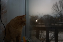 Видеосъемка фотоаппаратом Sony Alpha ILCE-7RM2