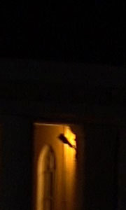 Видеосъемка фотоаппаратом Sony DSC-RX100M4