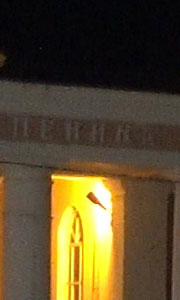 Видеосъемка фотоаппаратом Sony DSC-RX100M4