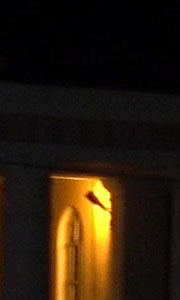 Видеосъемка фотоаппаратом Sony DSC-RX100M4