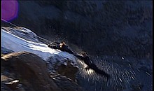 ������ ������� &laquo;��� ���������&raquo;&raquo;