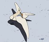 ������� �� ������