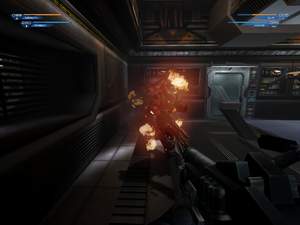 ���-�� ��� ��������