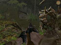 �����! ��� �����!