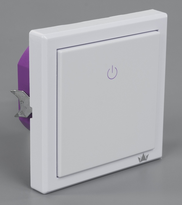 Внешний вид Brenin