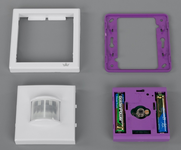 Внешний вид Brenin