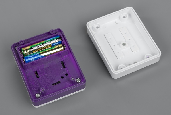 Внешний вид Brenin