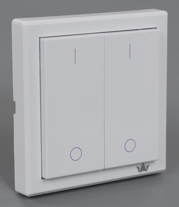 Внешний вид Brenin