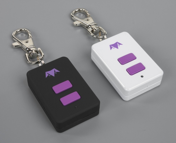 Внешний вид Brenin