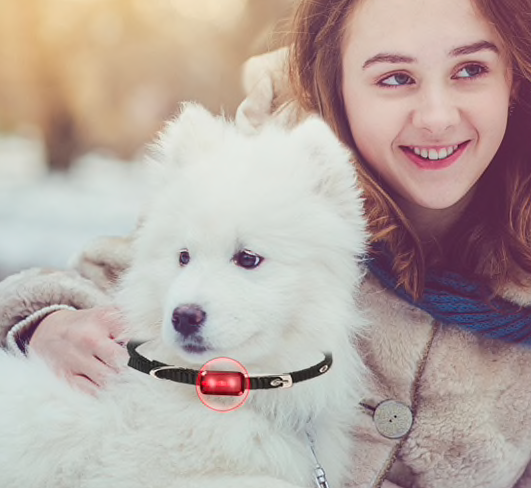 Screen Shot 2018-12-25 at 21.49.07.png