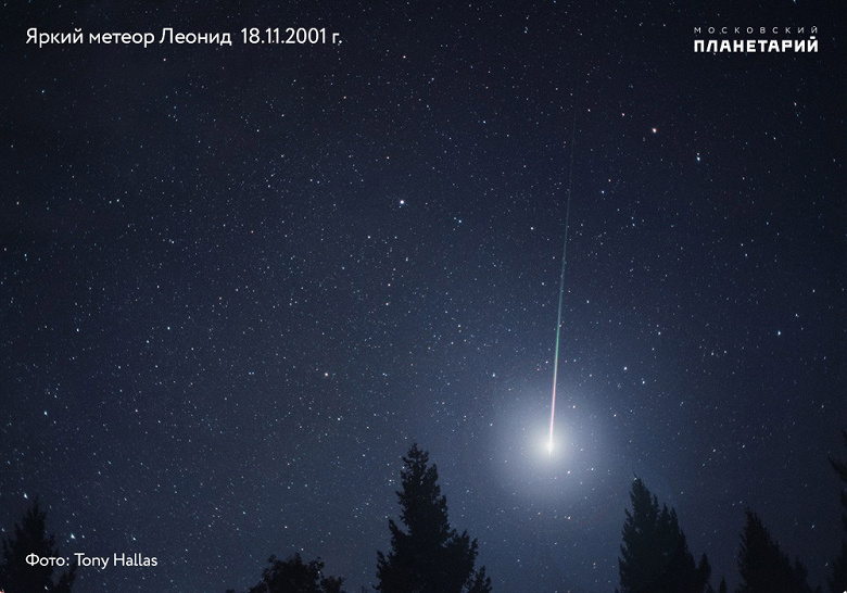 До 15 метеоров в час. Сегодня ночью — главный звездопад ноября