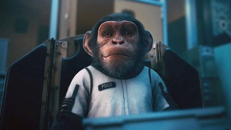Китайские учёные хотят провести эксперимент по спариванию обезьян в космосе
