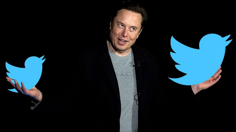 Должен ли я уйти с поста главы Twitter,  Илон Маск предложил принять решение пользователям соцсети