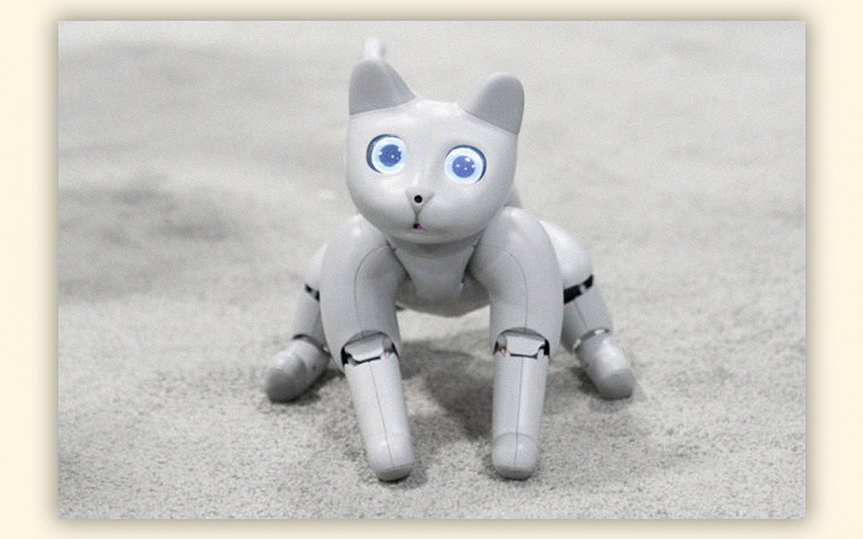 На выставке IFA 2022 показали сразу двух милых роботов-котов