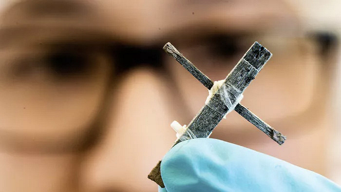 Ученые создали первый в мире деревянный транзистор – он работает на частоте 1 Гц