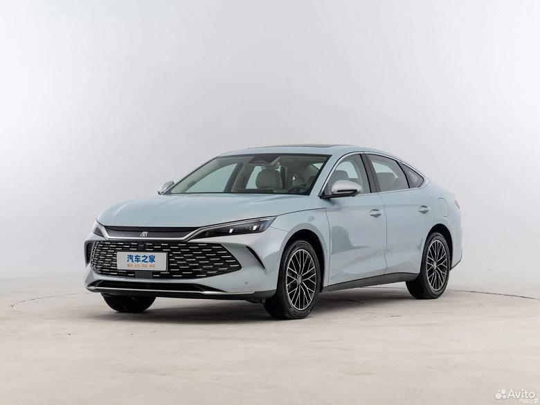 qin_l copy_large.jpg