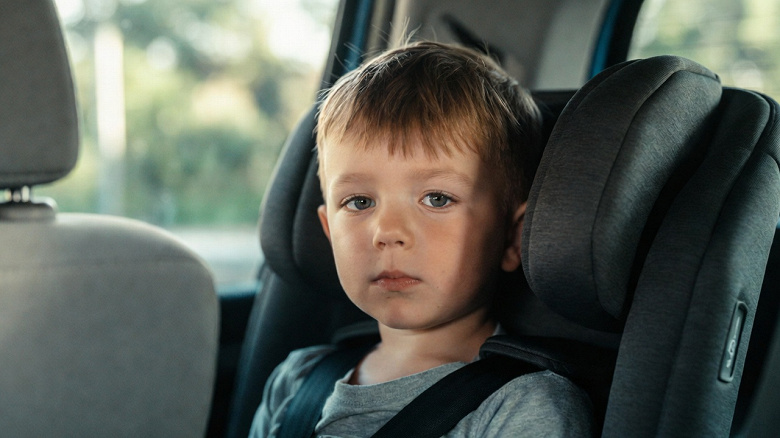 image (15)_large.jpg