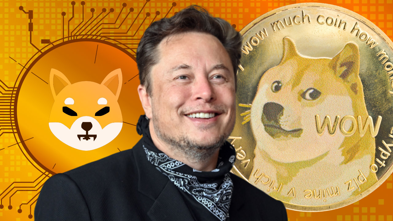 Musk coin inu elon shiba Elon Musk