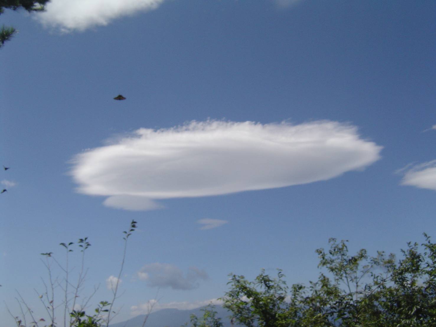UFO Sightings - Compilation Video 2019 - YouTube