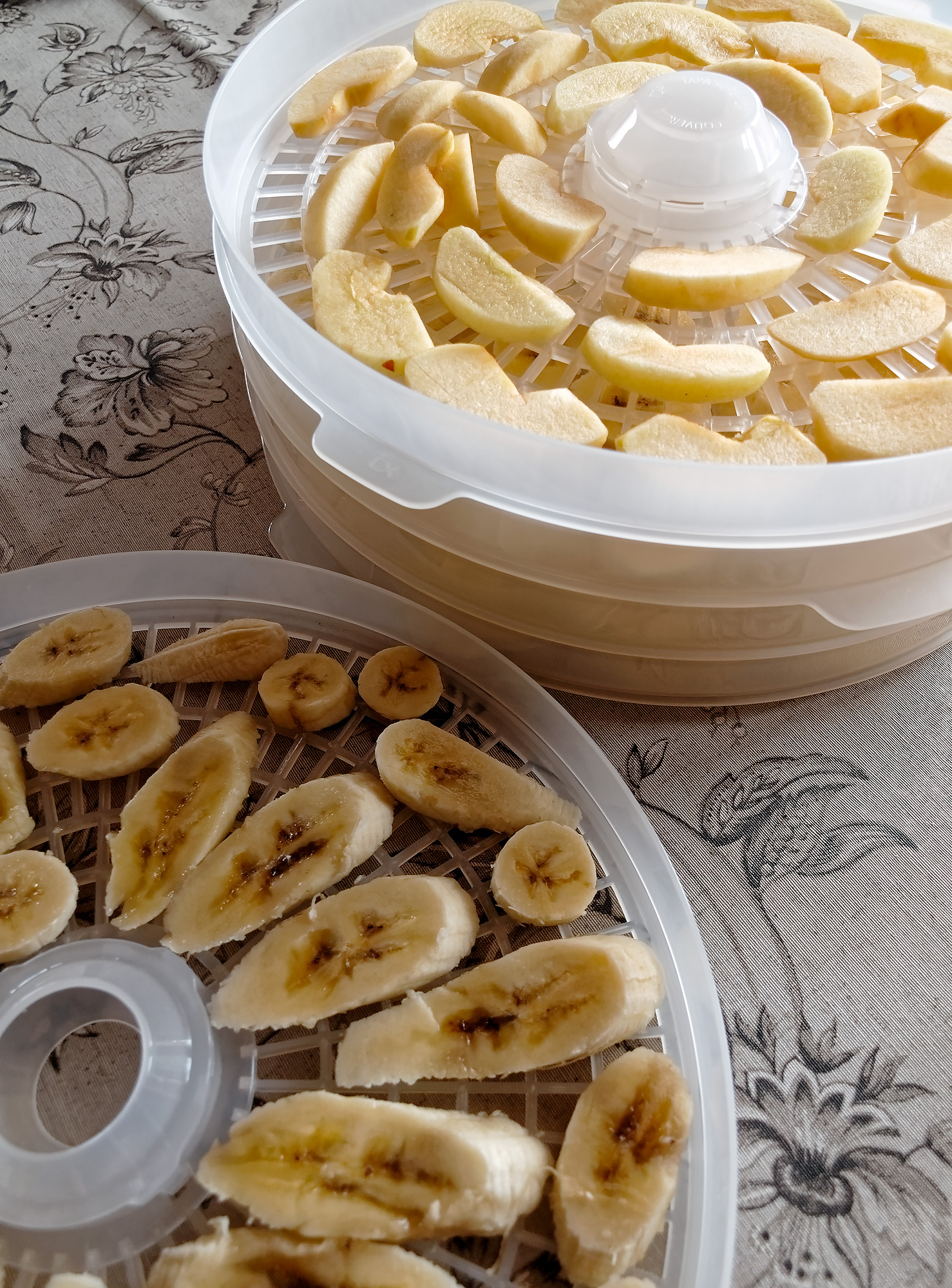 Обзор дегидратора Gemlux GL-FD-01R: очень дешево и с неплохими результатами