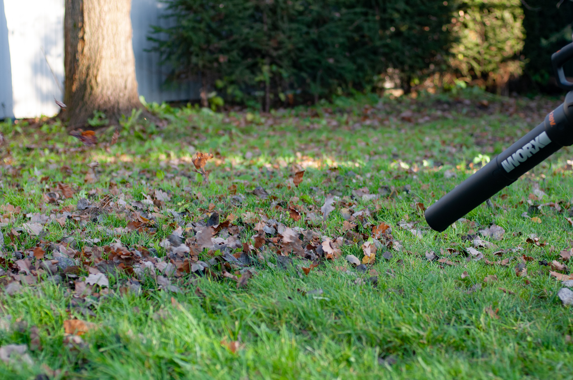 Обзор аккумуляторной воздуходувки Worx WG547E