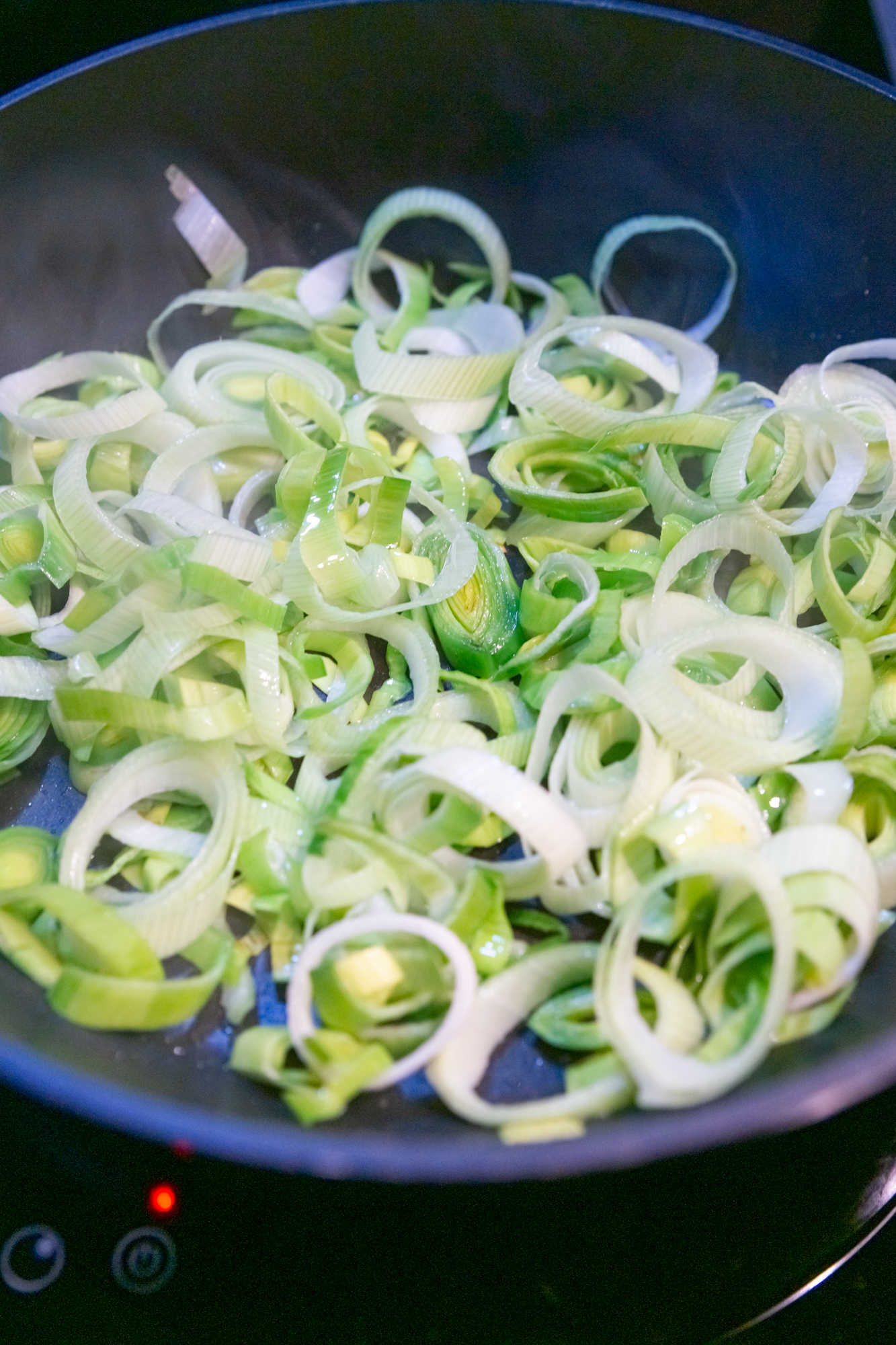 Обзор стационарного блендера Silanga BL1500 Pro