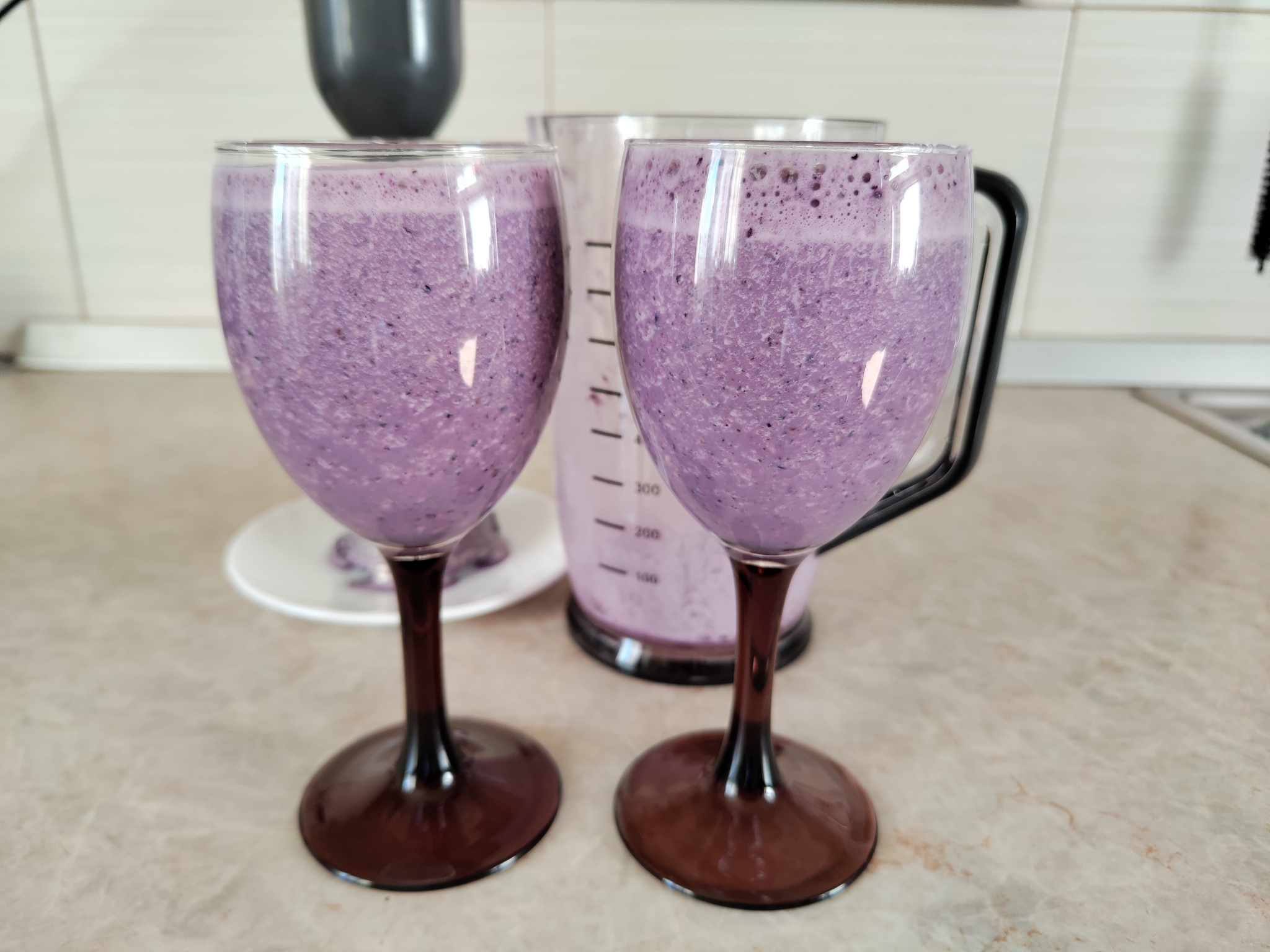 Обзор погружного блендера «три-в-одном» Silanga BL800 Universal