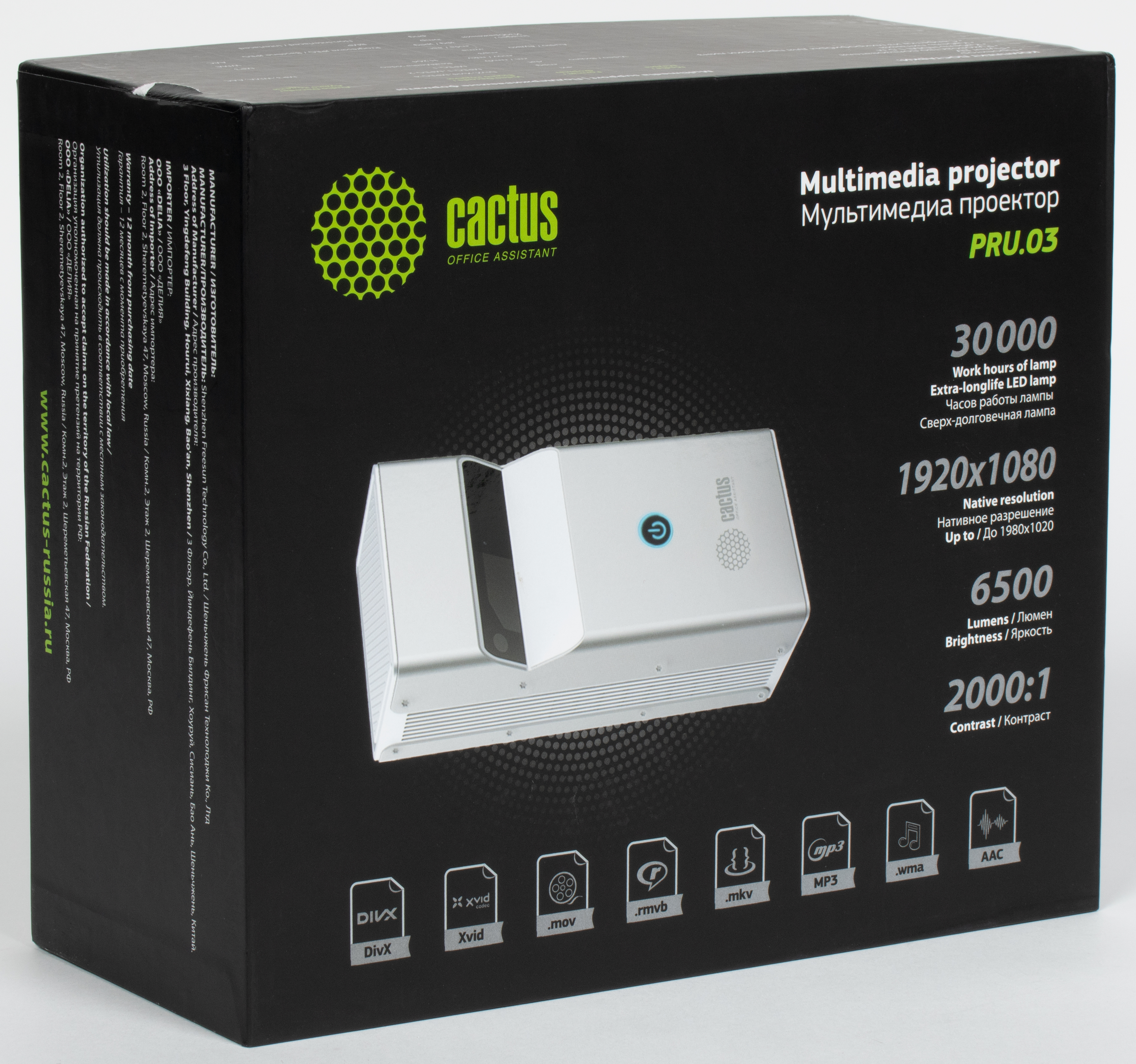 Опунция альбиспина. Опунция мелковолосистая. Опунция мелковолосистая цветение. Кактус бамбино. Кактус.