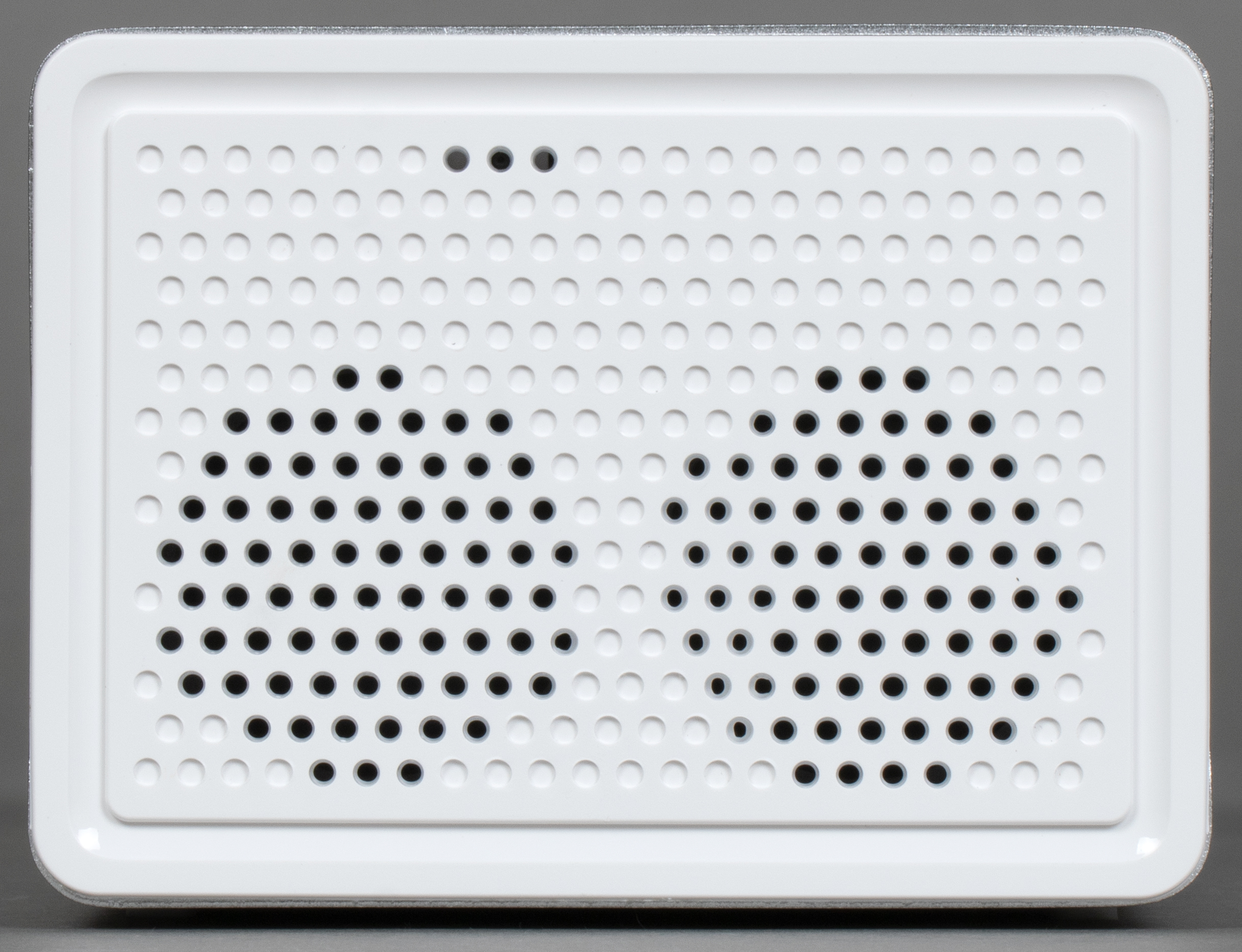 Обои на рабочий стол кактусы. Опунция альбиспина. Cactus pru 03. Кактус опунция мелковолосистая. Кактус опунция в горшке.