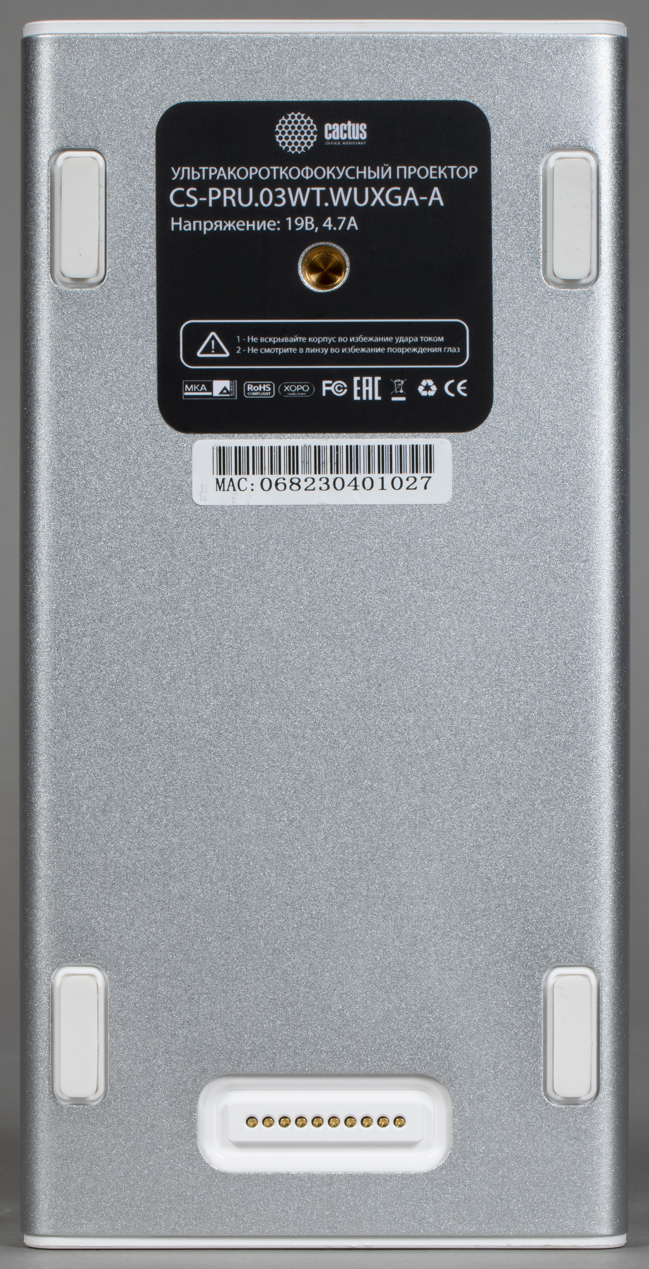 Кактус сферикал микс. Cactus pru 03. Неоптерия кактус. Обои на рабочий стол кактусы. Cactus pru 03.