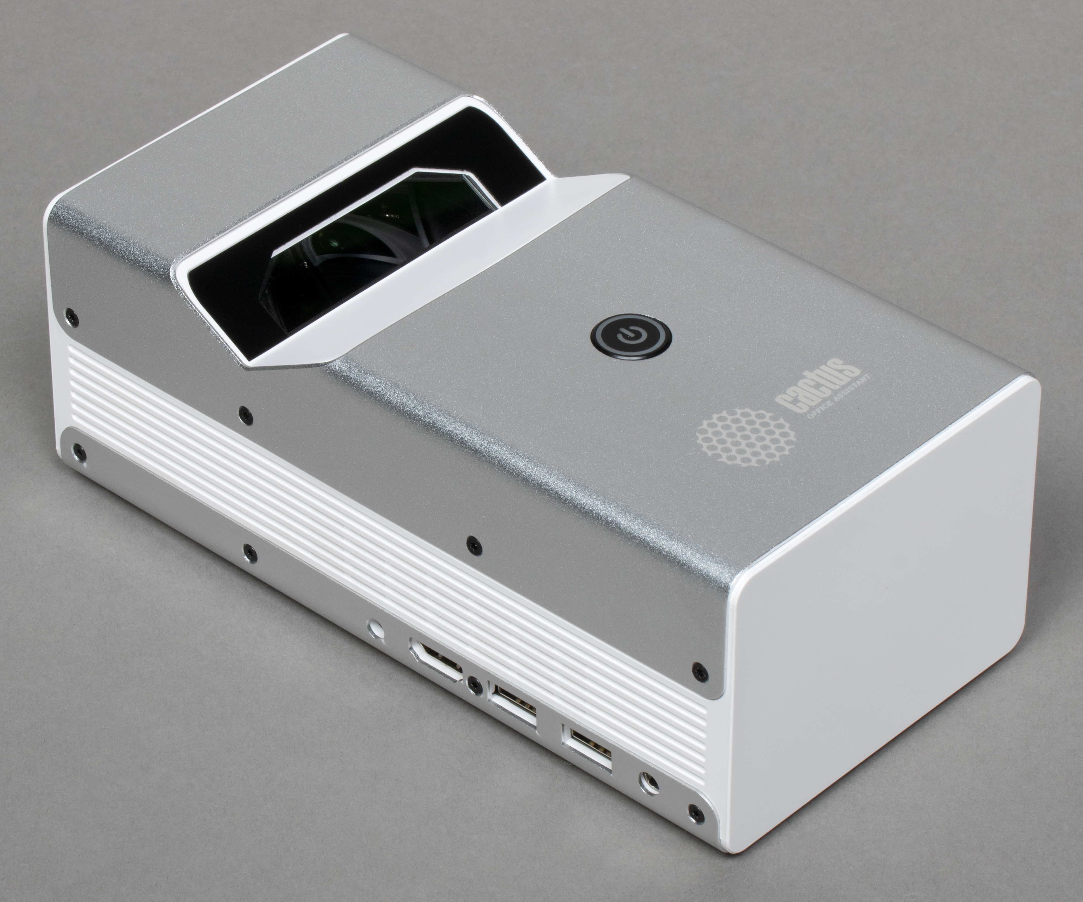 Опунция кактус домашний. Кактус плоский. Опунция мелковолосистая. Кактус грандипахус. Опунция кактус красная.