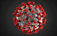 В России создали высокоточный тест для выявления коронавируса SARS-CoV-2