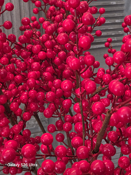 Samsung Galaxy S26 Ultra сравнили с фотофлагманом Vivo X300 Pro