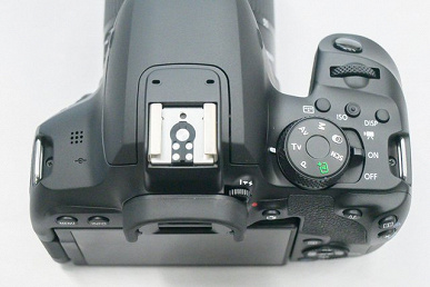 Фотогалерея дня: камера Canon EOS 850D