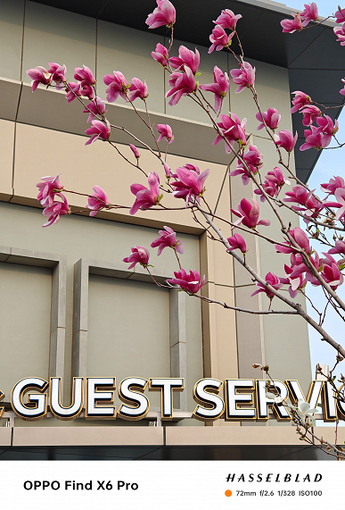 Возможности новейшего камерофона Oppo Find X6 Pro показали в реальных условиях