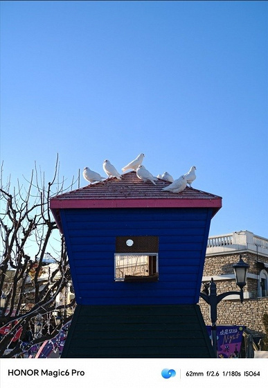 Так снимает &laquo;Орлиный глаз&raquo; Honor Magic6 Pro. Опубликованы примеры фото, сделанные камерой нового флагмана