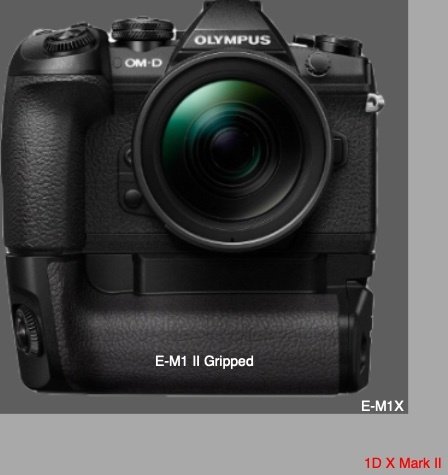 Опубликованы характеристики, ориентировочная стоимость и сроки анонса беззеркальной камеры Olympus E-M1X
