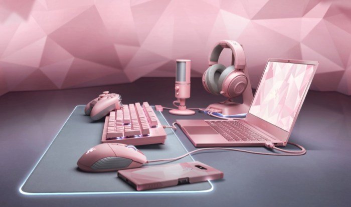 Razer представила ноутбук Blade Stealth 13 в... розовом цвете